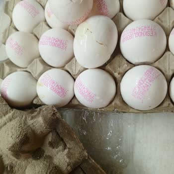 Migros Her Siparişte Kırık Yumurta Ve Eksik Ürün: Müşteri Mağduriyeti Zirvede