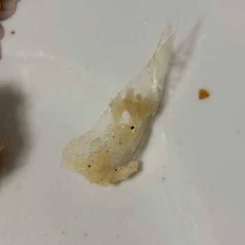 Boşnak Böreğinden Plastik Parça Çıkması Şaşkınlığı