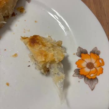 Boşnak Böreğinden Plastik Parça Çıkması Şaşkınlığı