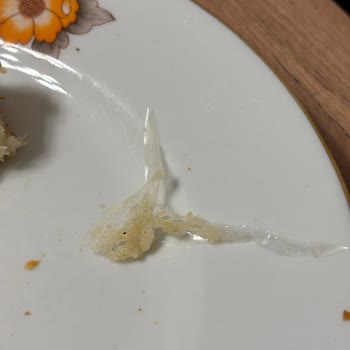 Boşnak Böreğinden Plastik Parça Çıkması Şaşkınlığı