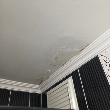 Konut Sigortası Kapsamında Sürekli Su Sızması Sorununun Çözülememesi Ve Mağduriyet