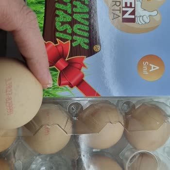 Neden Yumurta Güven Sarsıcı Bilgiler