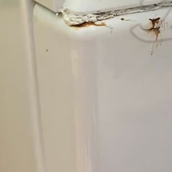 Bosch Çamaşır Makinem Sürekli Arıza Veriyor Değişim Talep Ediyorum