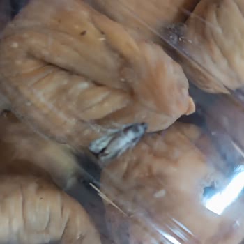 Ormanmeyveleri.com.tr Hiçbir Şekilde Ulaşamıyorum