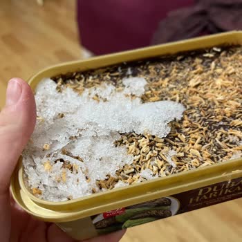 Aldığım Dondurmada Yoğun Buzlanma Ve Karlanma İle Karşılaştım