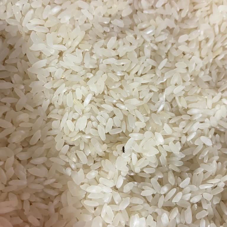 Bozuk Pirinç Teslimatı Ve Eksik Ödeme Mağduriyeti Çözülmedi