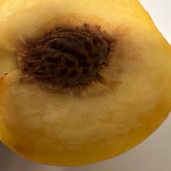 Çürük Ürün Ve İlgisiz Müşteri Hizmeti Şoku