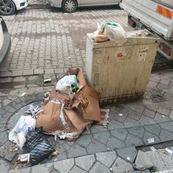 Sürekli Çöp Sorunu İçin Acil Denetim Ve Temizlik Talebi