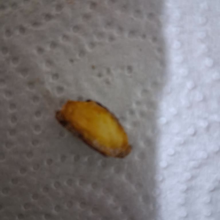 Küflü Ve Bozulmuş Kuruyemiş Satışı Nedeniyle Mağduriyet