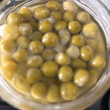 Cam Kavanozda Bezelye Küflü Ve Kötü Kokulu Çıktı Hayal Kırıklığı Yaşadım