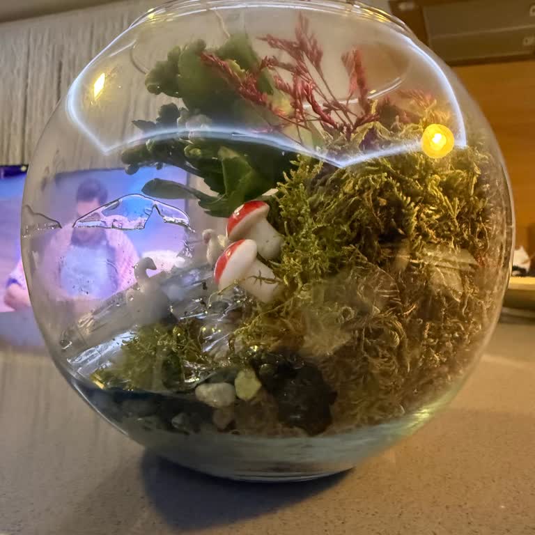 Dağılmış Ve Kullanılamaz Teraryum İçin Değişim Talebim Karşılanmadı