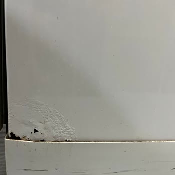 Arçelik Bulaşık Makinesi Paslanma Ve Boya Soyulması Sorunu, Ücretsiz Değişim Talebi