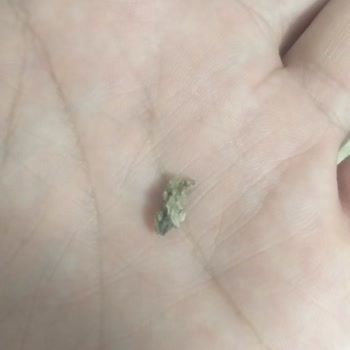 Düzgün Market'ten Alınan Pide Ekmeğinde Hijyen Sorunu ve Tekrarlayan Şikayet