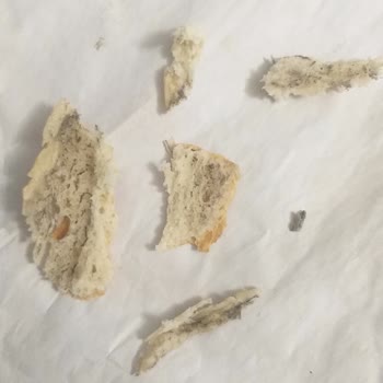 Düzgün Market'ten Alınan Pide Ekmeğinde Hijyen Sorunu ve Tekrarlayan Şikayet