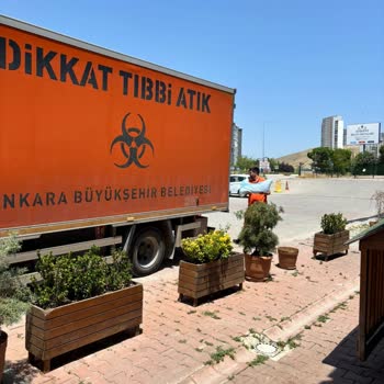 Kedimin Ölümünden Sonra Umursamaz Davranış Ve Maddi Kayıp