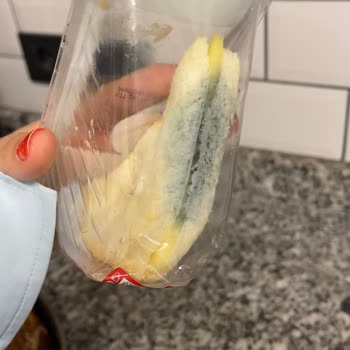 Küflü Sandviç Ve İlgisiz Müşteri Hizmetleri: Çocuğumun Sağlığı Tehlikeye Girdi