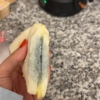 Küflü Sandviç Ve İlgisiz Müşteri Hizmetleri: Çocuğumun Sağlığı Tehlikeye Girdi