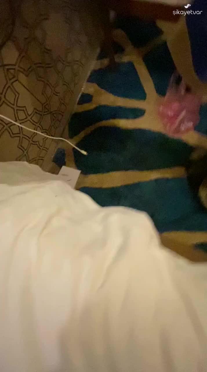 I Face Bed Bug Problem at Swiss International Taba Alsalam Hotel Booked via Agoda video cover