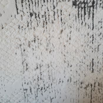 Deniz Halı Yıkama (Gerze) Halımı Mahvetti