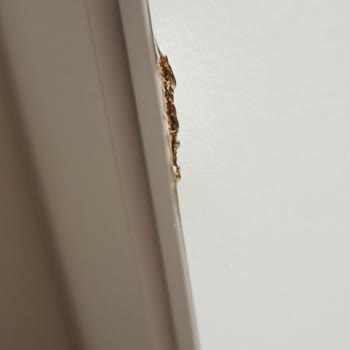 Koçtaş'tan Aldığım Gardırop Kusurlu Ve Eksik Parçalı Geldi, Mağduriyetim Giderilmiyor