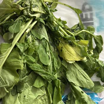 Eksik, Bozuk Ve Son Kullanma Tarihi Yakın Ürün Teslimatı İle Yetersiz Müşteri Hizmeti