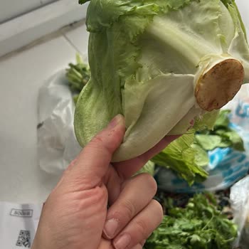 Eksik, Bozuk Ve Son Kullanma Tarihi Yakın Ürün Teslimatı İle Yetersiz Müşteri Hizmeti