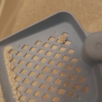 Kedi Kumunda Hijyen Sorunu Ve Müşteri Hizmetlerine Ulaşılamaması