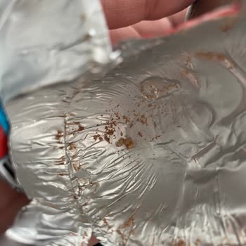 Kapalı Ozmo Egg Paketinden Kurt Çıkması Ve Yetersiz Müşteri Desteği