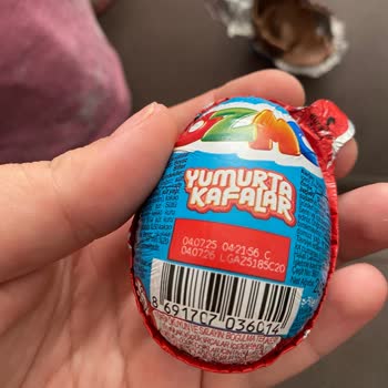 Kapalı Ozmo Egg Paketinden Kurt Çıkması Ve Yetersiz Müşteri Desteği