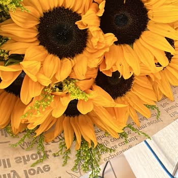 Solmuş Ve Hasarlı Çiçek Gönderimi, Yetersiz Müşteri Hizmeti