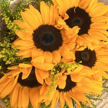 Solmuş Ve Hasarlı Çiçek Gönderimi, Yetersiz Müşteri Hizmeti