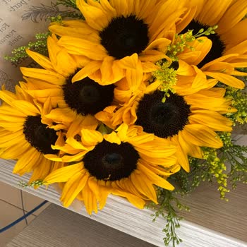 Solmuş Ve Hasarlı Çiçek Gönderimi, Yetersiz Müşteri Hizmeti