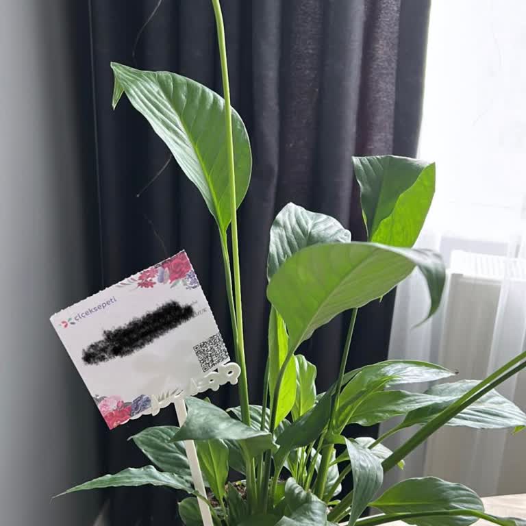 Gösterilenle Teslim Edilen Çiçek Farklı Ve Eksik Çiçek Gönderildi