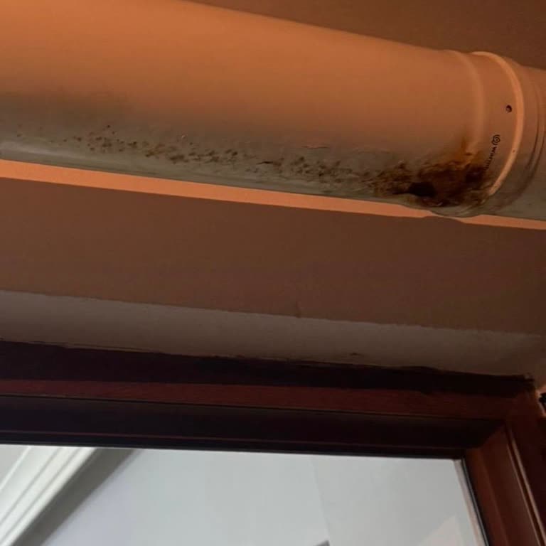 Hatalı Kombi Kurulumu Sonucu Mağduriyet Ve Maddi Zarar