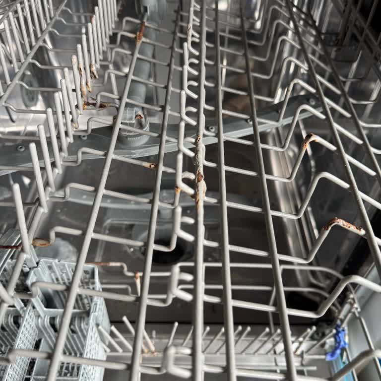 Bulaşık Makinesi Sepetlerinde Küflenme Ve Yedek Parça Sorunu