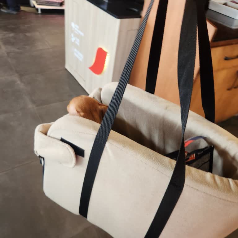 Köpeğimle Açık Alanda Oturmama İzin Verilmedi!