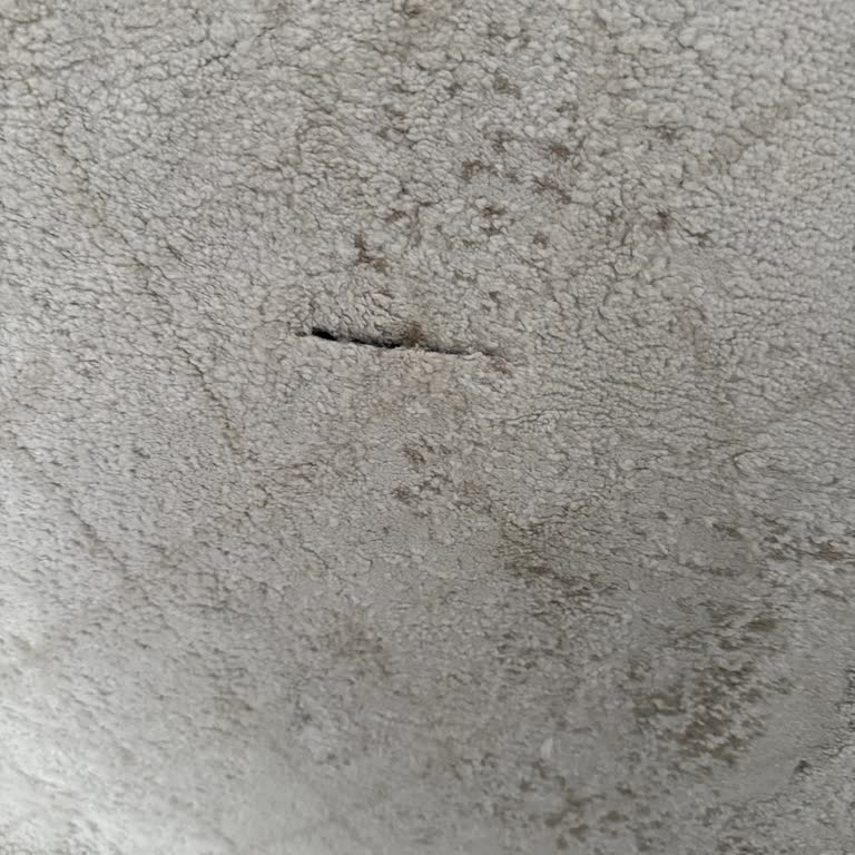 Karaca'dan Alınan Halı Kısa Sürede Hasar Gördü, Garanti Dışı Bırakıldı