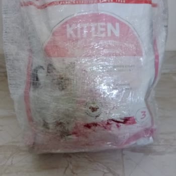 Yanlış Kedi Maması Gönderildi Kimseye Ulaşamıyorum