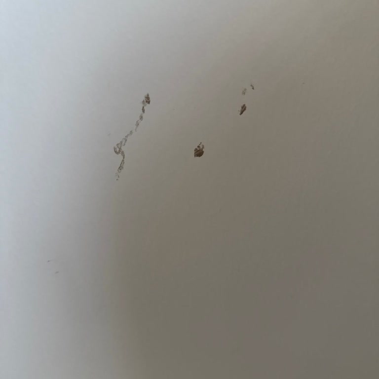 Jotun Zen Boya Leke Tutuyor, Silinemiyor