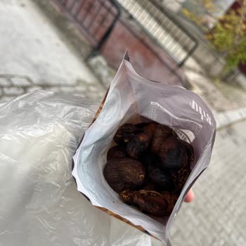 A101'den Alınan Bozuk İncirler Ve İade Sorunu