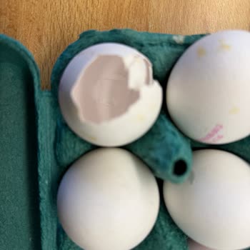 Aldığım Yumurta Paketi İçinden Boş Ve Kırık Yumurta Çıktı, Mağduriyet Yaşadım