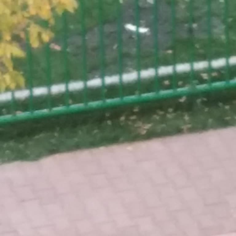 Mahalle Sakinlerini Mağdur Eden Park Sorununa Acil Çözüm Bekliyoruz