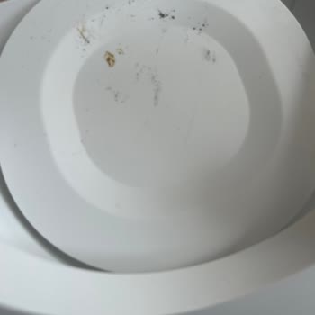 Kendi Temiz Ürünüm Gitti, Başkasının Kirli Ürünü Geldi!