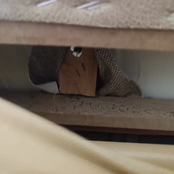 Kelebek Lucenta Koltuk Takımı Arızası Ve Servis Sürecinde Çözüm Eksikliği