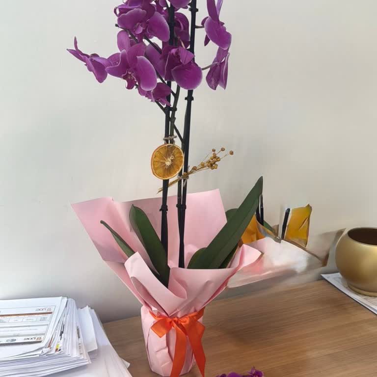 Geç Teslimat, Hasarlı Orkide Ve Müşteri Hizmetlerinden Destek Alamadım