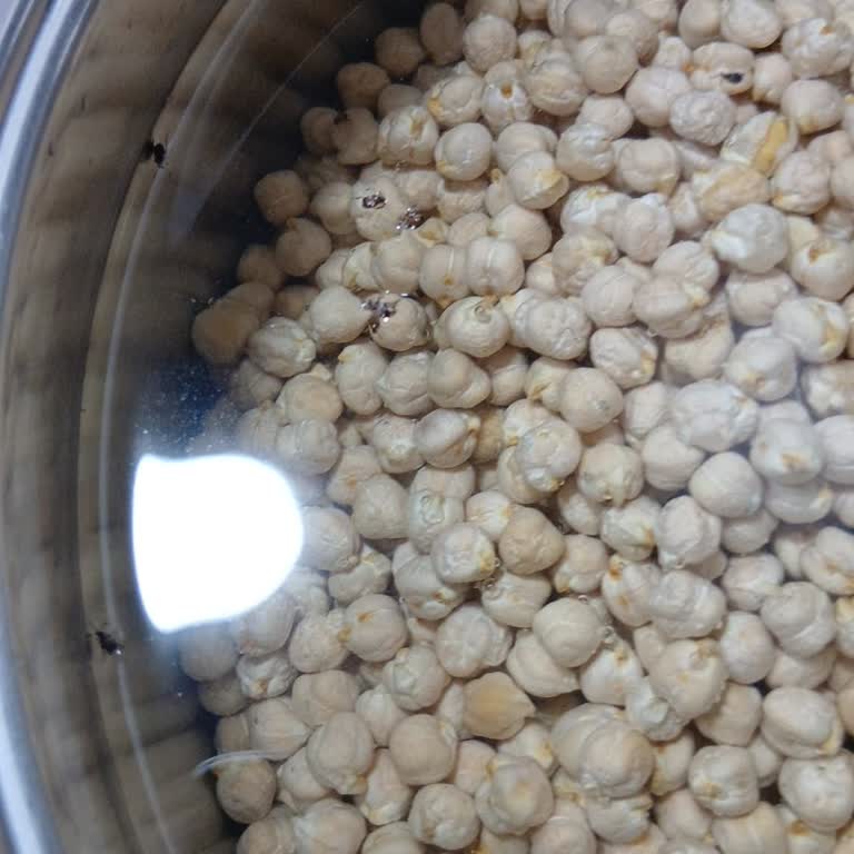 Migros Jet'ten Aldığım Nohut Böcekli Çıktı, Mağaza Çözüm Sunmadı