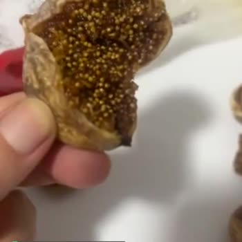 Tuğba Kuruyemiş Kurtlu Ürün Satıyor