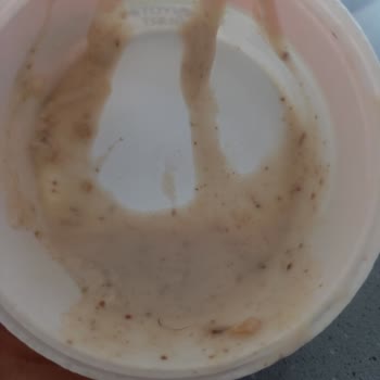 Eker Yoğurdun İçinden Kıl Çıktı, Çok Üzüldüm