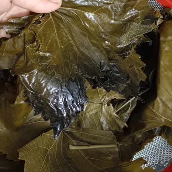 Sultaniye_salamura_yaprak Ücret İadesi Yapılmasını veya Ürünün Geri Alınmasını Talep Ediyorum