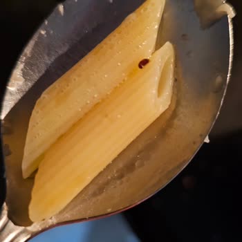 Aldığım Makarnada Böcek Çıktı Hijyen Ve Sağlık Konusunda Endişeliyim